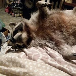 Meet your Posher, Judith